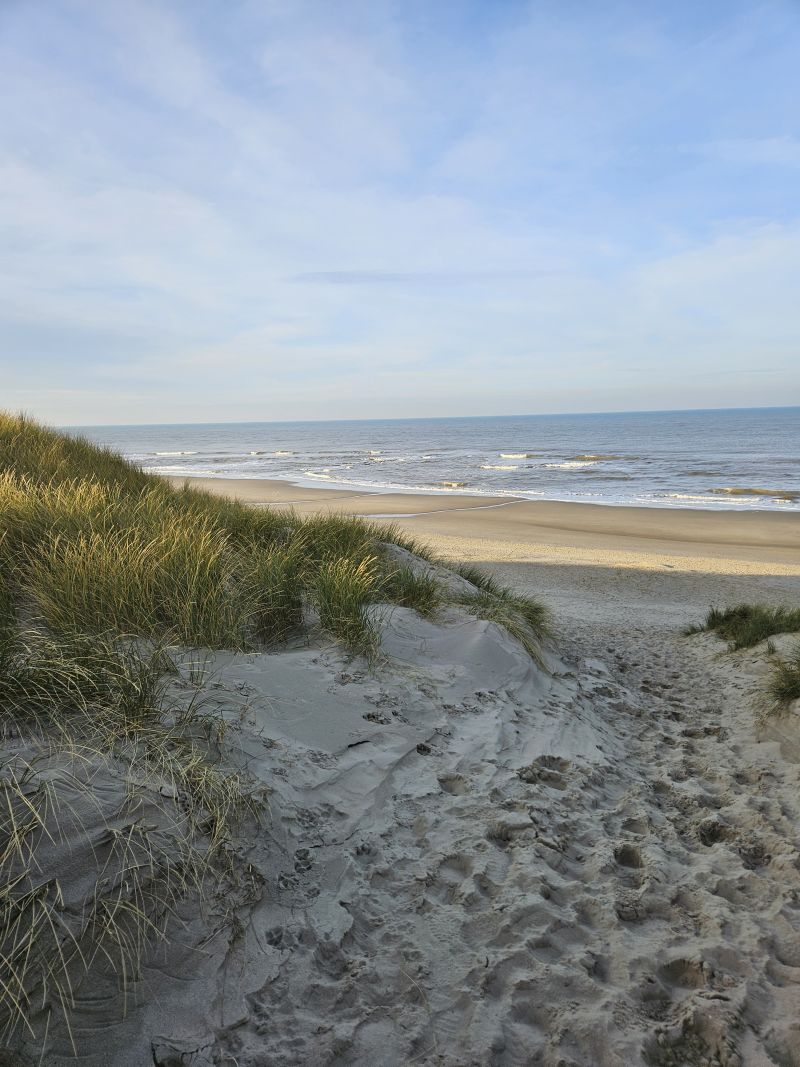 Het duinpad naar zee