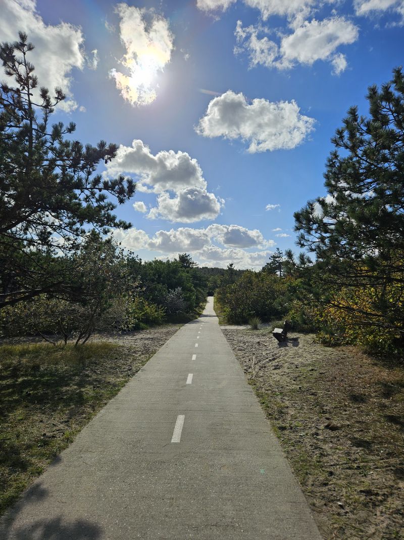 Fietspad door de duinen