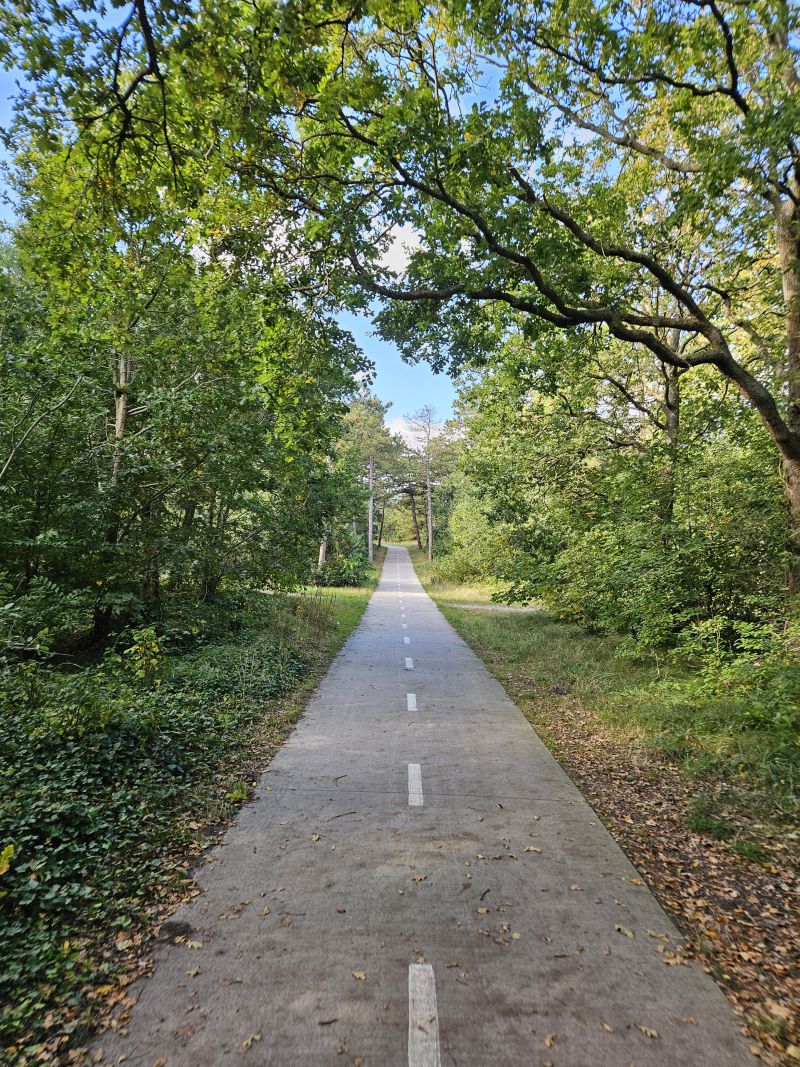 Fietspad door het bos