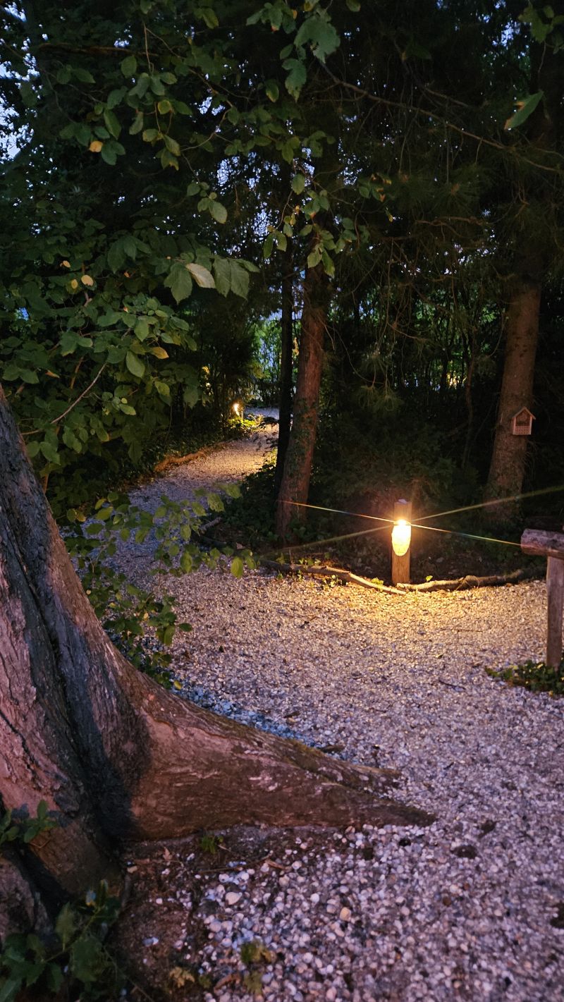 Het paadje in het avondlicht
